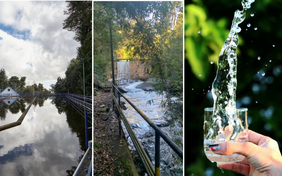 Conoce las razones del sabor del agua de Valdivia